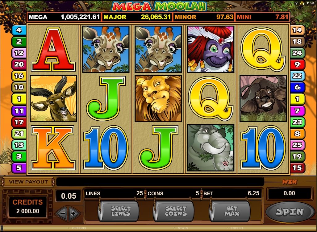 One of the popular slot games - Mega Moolah